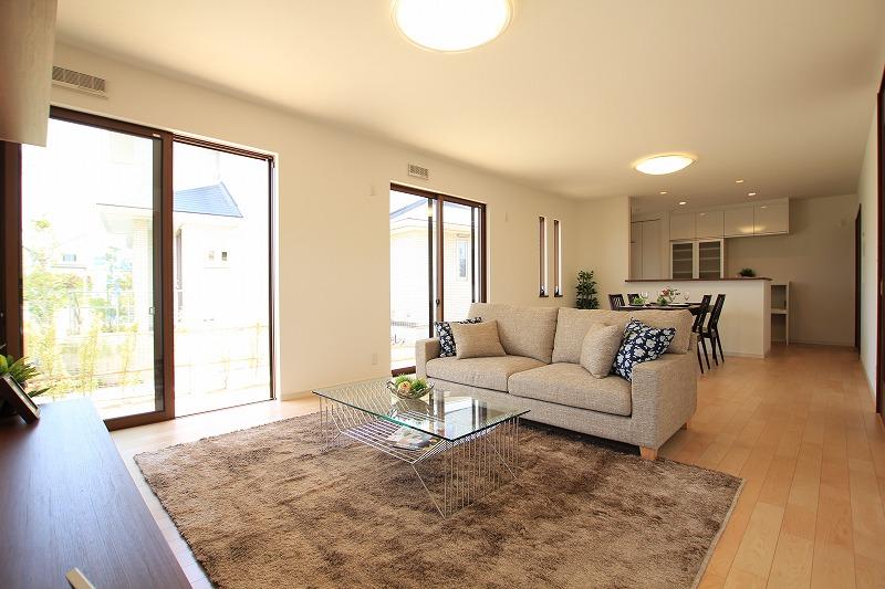 Living. Room (May 2013) Shooting