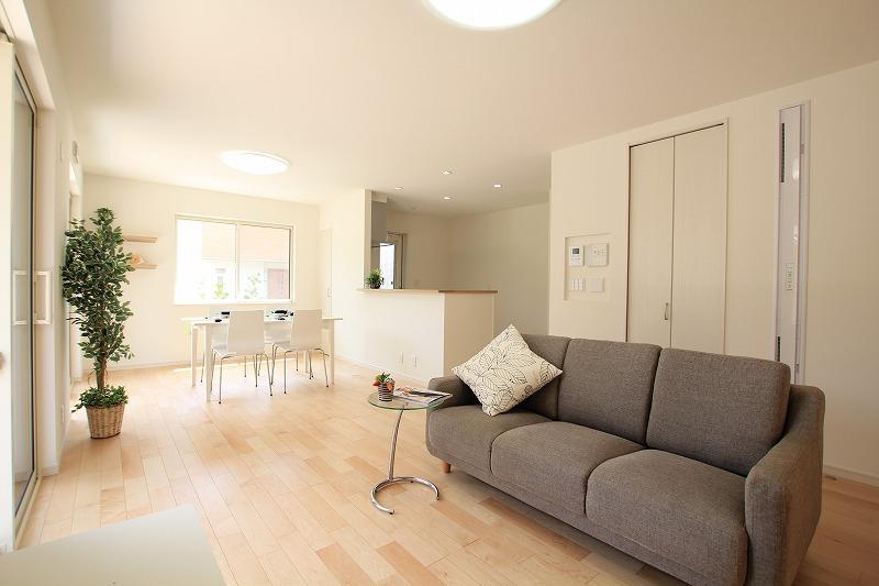 Living. Room (May 2013) Shooting