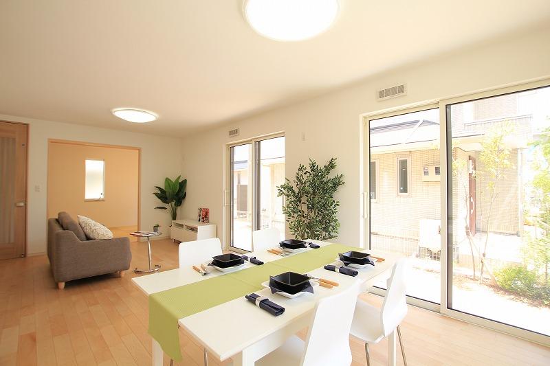 Living. Room (May 2013) Shooting