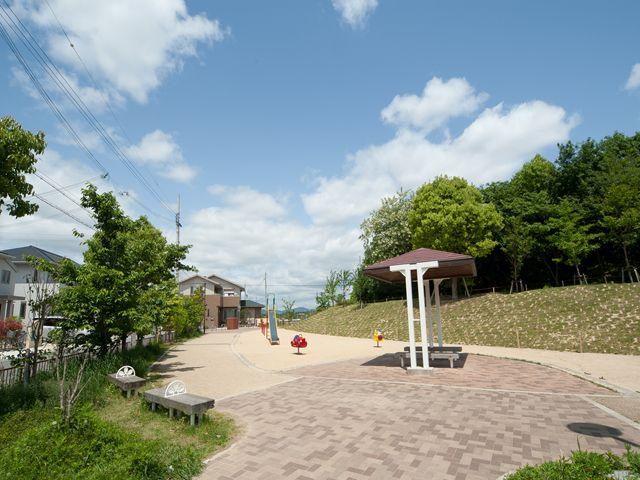 Housing complex in the park (May 2012) shooting