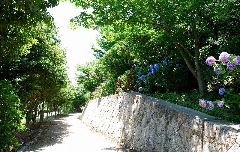 Other Environmental Photo. Allow walking while enjoying the 250m season of flowers and plants to Ibuki Green Road, Spring road, And it divided the fall of the road have been planted in the summer. 