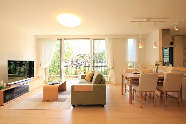 Living. Model house photo (May 2013 shooting)