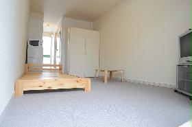 Living and room. The floor is carpeted