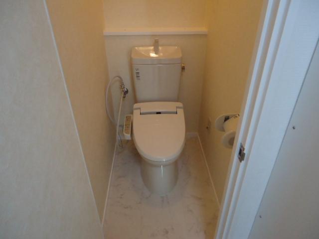 Toilet. Indoor (August 2, 2013) Shooting