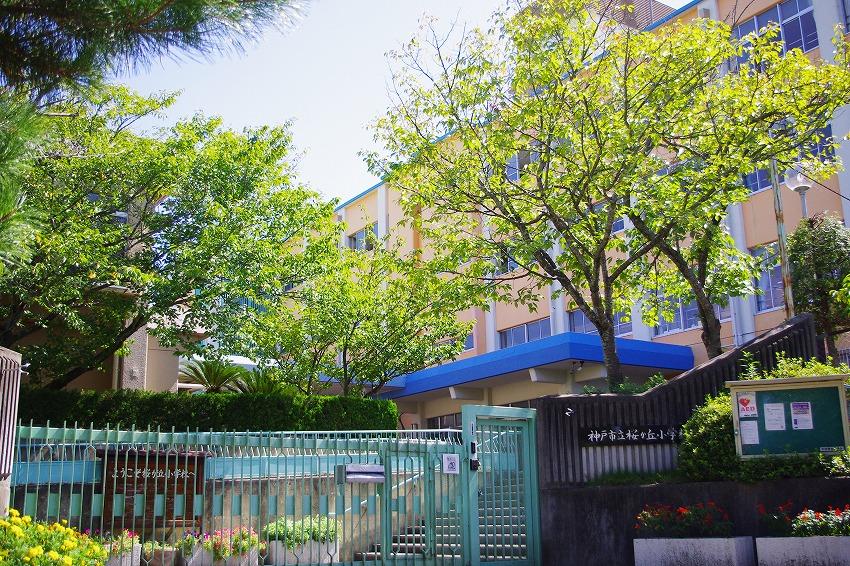 Primary school. Sakuragaoka Elementary School