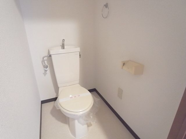 Toilet. Toilet