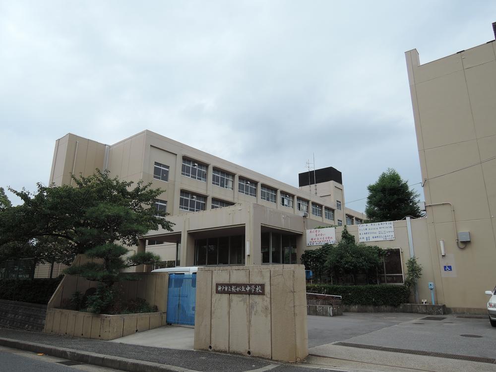 Junior high school. Sakuragaoka 388m until junior high school