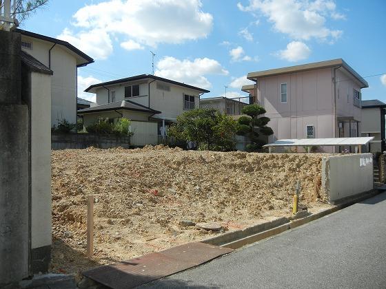 Local photos, including front road. Local (10 May 2013) Shooting