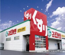 Dorakkusutoa. Cedar pharmacy Tamatsu shop 1256m until (drugstore)