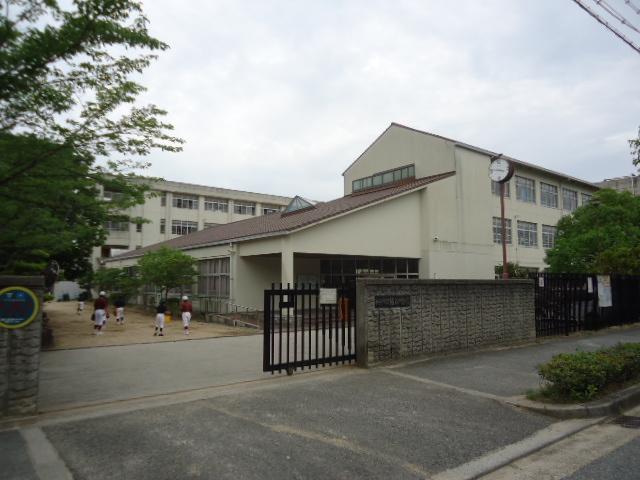 Junior high school. Hasetani 2500m until junior high school