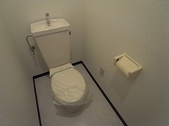 Toilet. Toilet