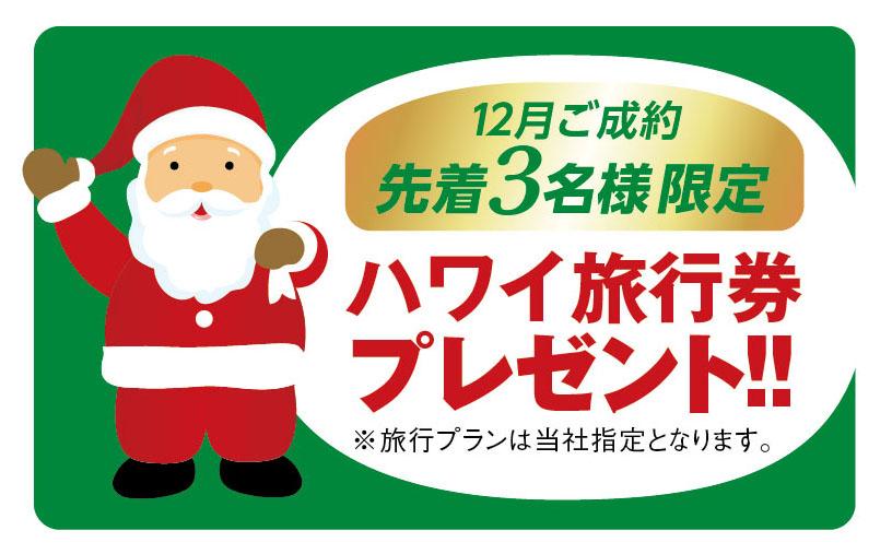 Other. Arrival 3 people limited. Hawaii travel coupons gift! ! 