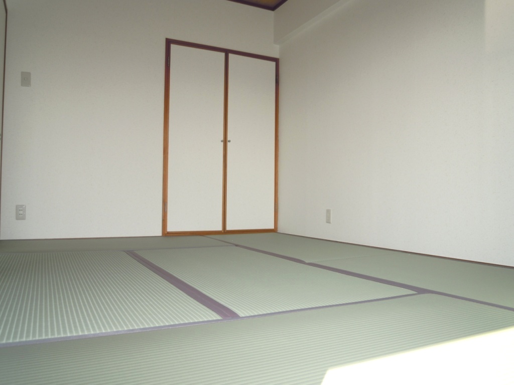 Other room space. Japanese style room