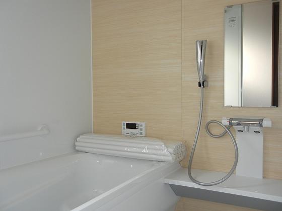 Same specifications photo (bathroom)