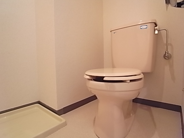 Toilet. Toilet