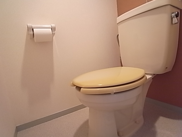 Toilet. Toilet