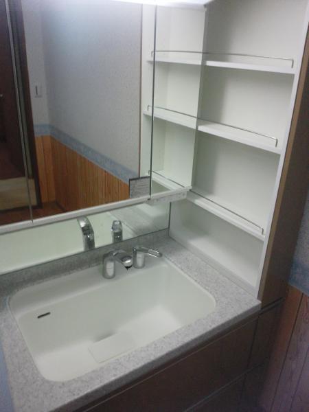 Wash basin, toilet. High-grade multi-functional vanity