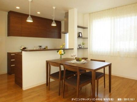 Non-living room.  ■ C-8 issue areas (dining kitchen)