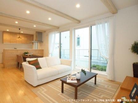 Living.  ■ B-10 issue areas (living dining kitchen)