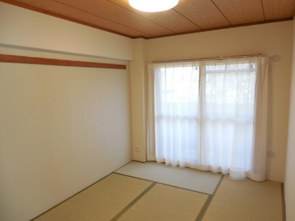Non-living room. Tatami room with closet!