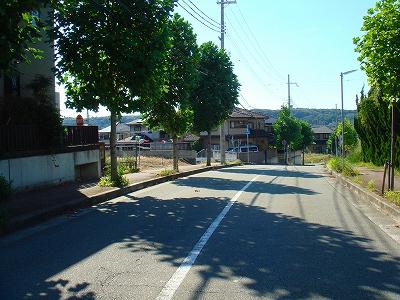 Local photos, including front road. Leafy residential area