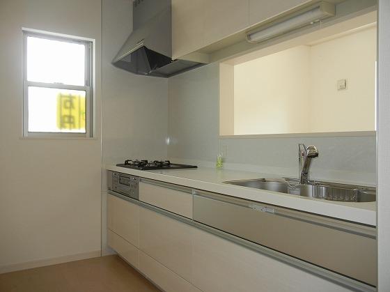 Same specifications photo (kitchen). Other issue areas