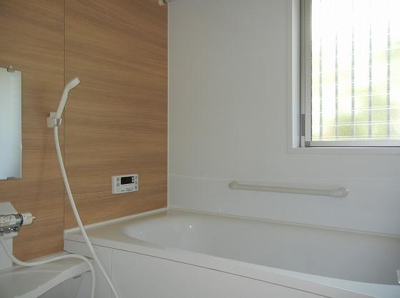 Same specifications photo (bathroom). Other issue areas