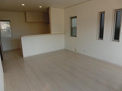 Living. Room (August 2013) Shooting