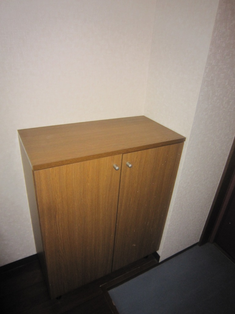Entrance. Shoes BOX