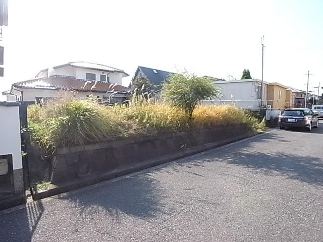 Local photos, including front road