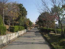 Local photos, including front road. Local (11 May 2013) Shooting  ◆ Because even close stress children park