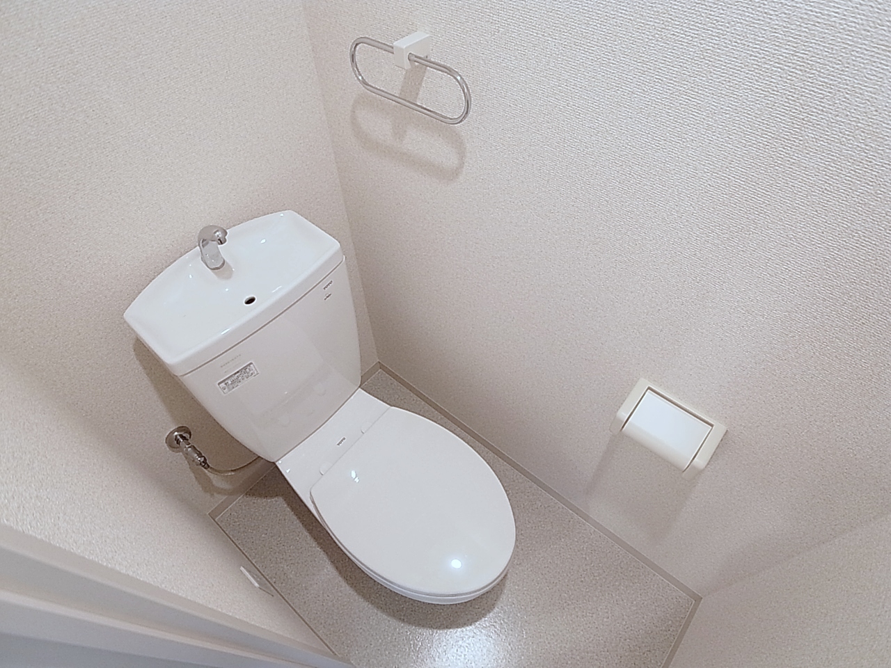 Toilet. Toilet