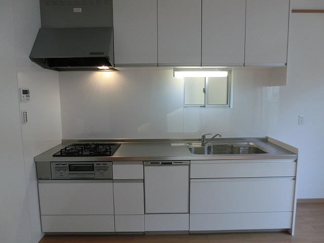 Kitchen. Indoor (July 2013) Shooting Gas stove enamel table