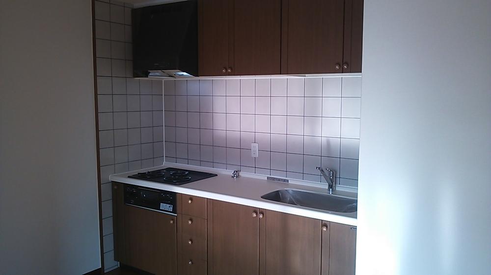 Kitchen. Indoor (11 May 2013) Shooting