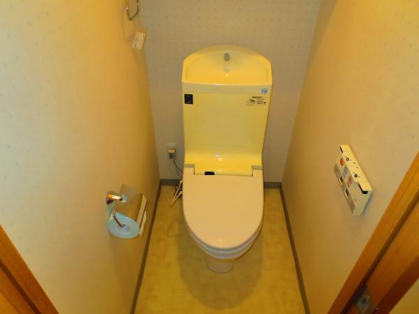 Toilet. It comes with a bidet.