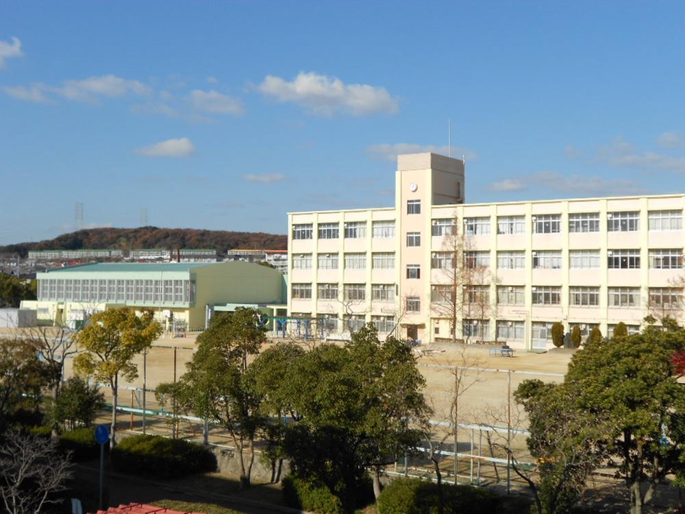Junior high school. Nishiochiai 400m until junior high school