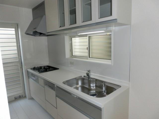 Kitchen. Indoor (11 May 2013) Shooting