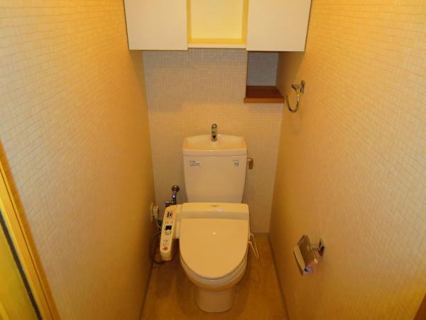Toilet. It comes with a bidet.