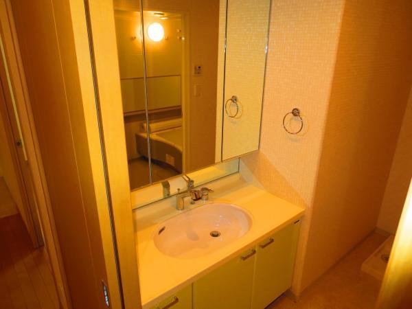 Wash basin, toilet. Large washbasin, Large mirror, Plenty of storage.