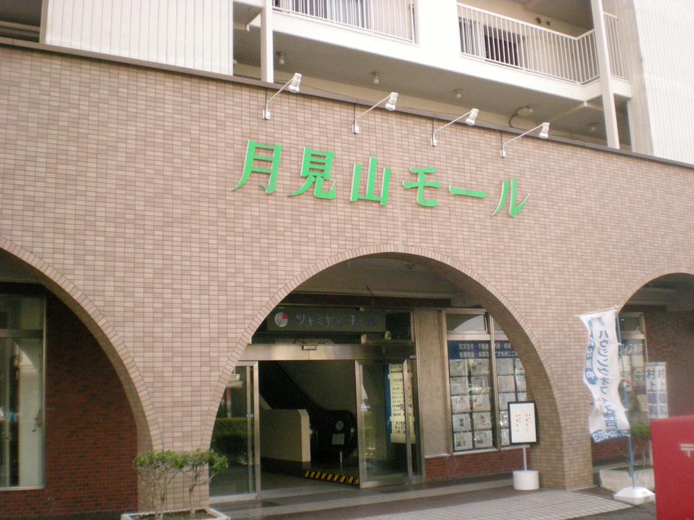 Other. "Tsukimiyama mall" has various entered hospitals. This is useful