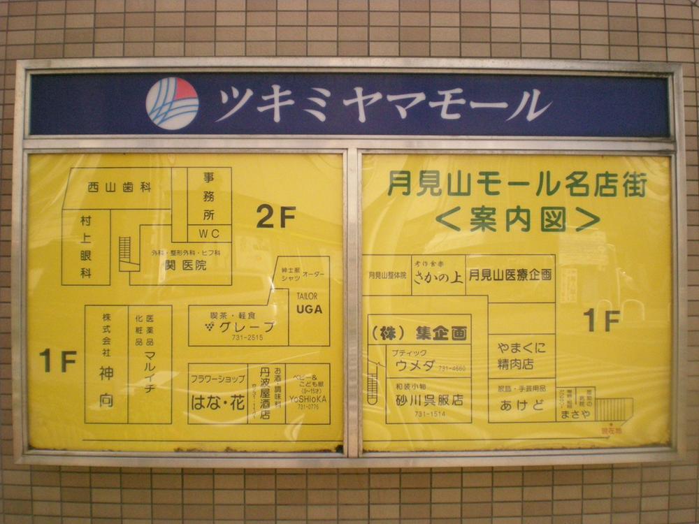 Other. It is a guide map in the "Tsukimiyama mall"