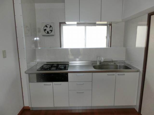 Kitchen. Indoor (11 May 2013) Shooting