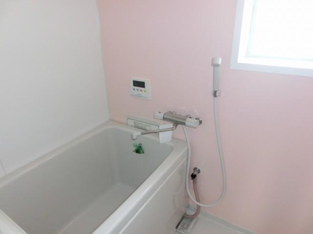 Bathroom. Indoor (11 May 2013) Shooting