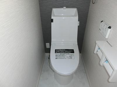 Toilet. Indoor (12 May 2013) Shooting High-function toilet