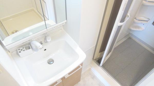 Wash basin, toilet. About to enter a new morning in the new wash basin!