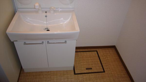 Wash basin, toilet. There Shampoo Dresser window