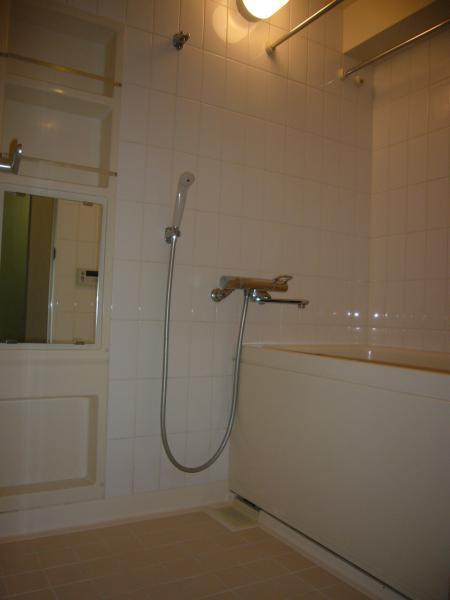 Bathroom. Bathroom photo