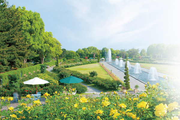 Surrounding environment. Suma Rikyu park which is adjacent to the Property, About 82ha vast city park. You can feel the moisture and peace in the oasis of the city that is popular as a modern European garden was beautifully in harmony with nature