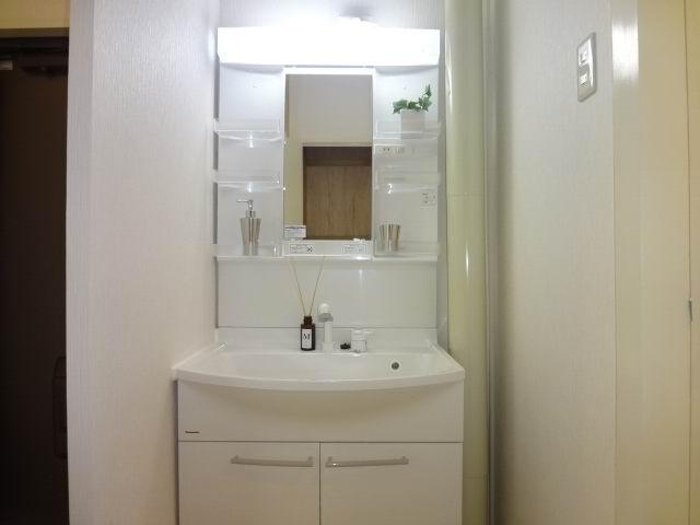 Wash basin, toilet. Powder Room. Shampoo is a dresser already replaced.