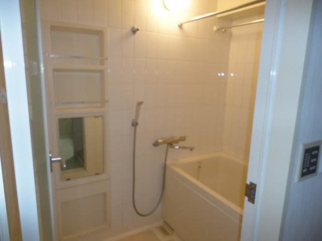 Bathroom. Indoor (12 May 2013) Shooting